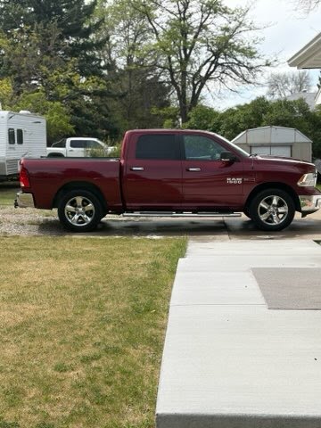 Full profile of detailed red Ram